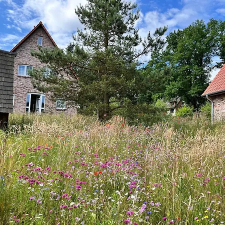 Bispinger-heidezauber-haus-hartriegel 別荘 ビスピンゲン