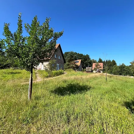別荘 Bispinger-heidezauber-haus-hartriegel ビスピンゲン